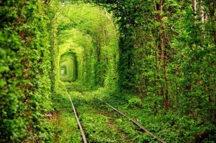 Tunnel of Love – Kleven, Ukraine ::: boringpla.net - Another Boring Picture Blog by Gerrit Fries