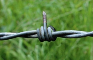 Fuck you, barbwire! ::: boringpla.net - Another Boring Picture Blog by Gerrit Fries
